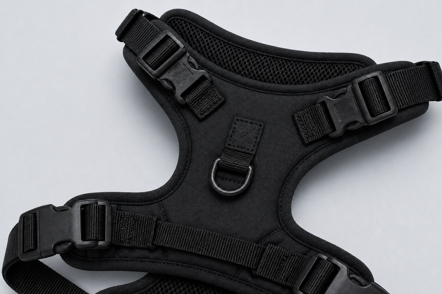 WALQO everyday dog harness detail with adjustable fit and clean connection points