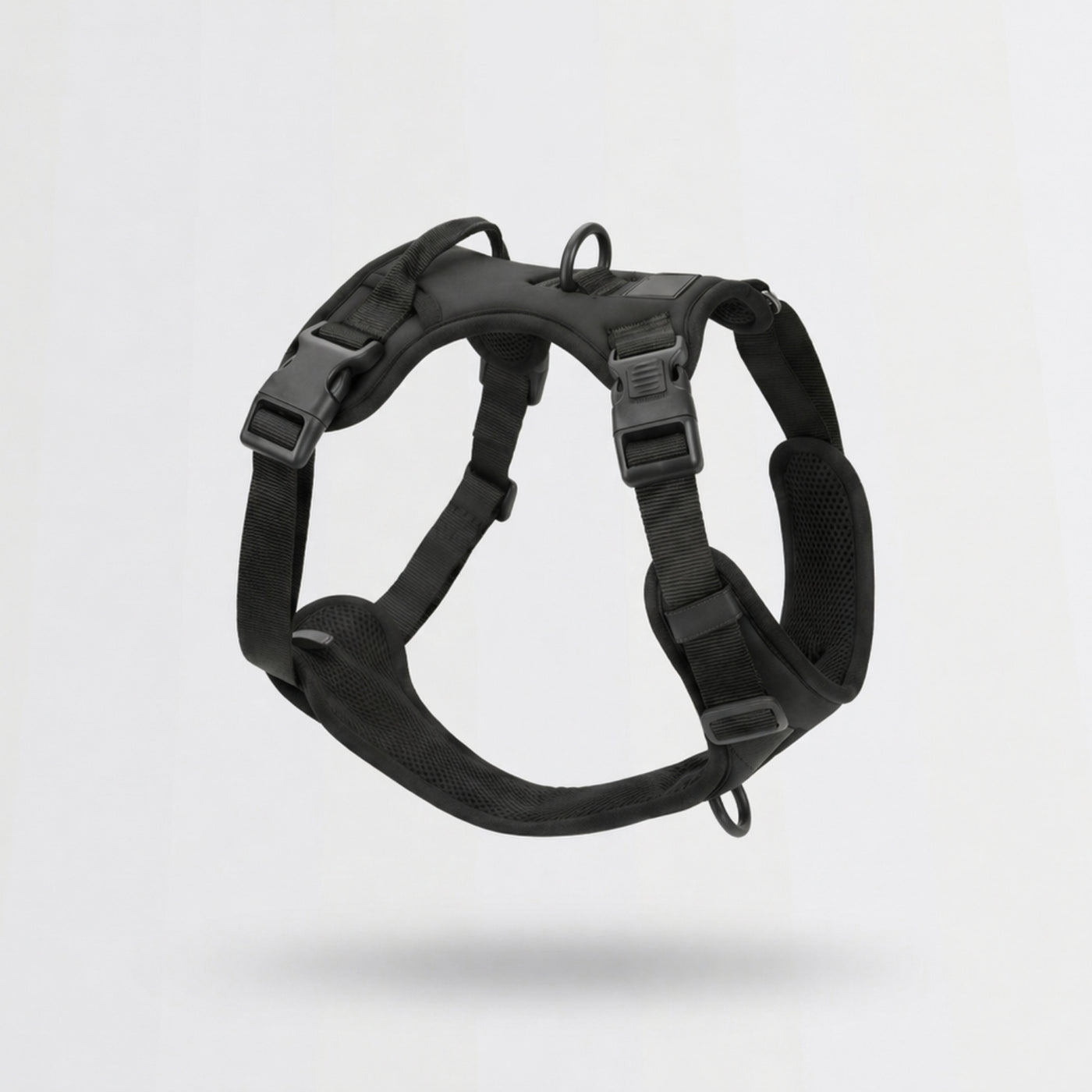 Everyday Control Dog Harness