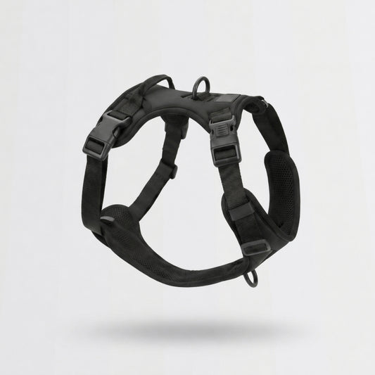 Everyday Control Dog Harness