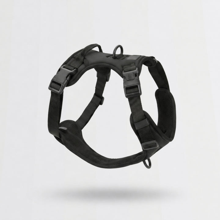 Everyday Control Dog Harness