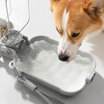 GoCup Portable Dog Water Bottle