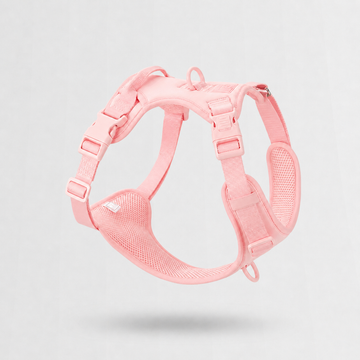 Everyday Leash & Harness Set