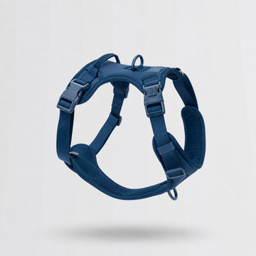 Everyday Leash & Harness Set