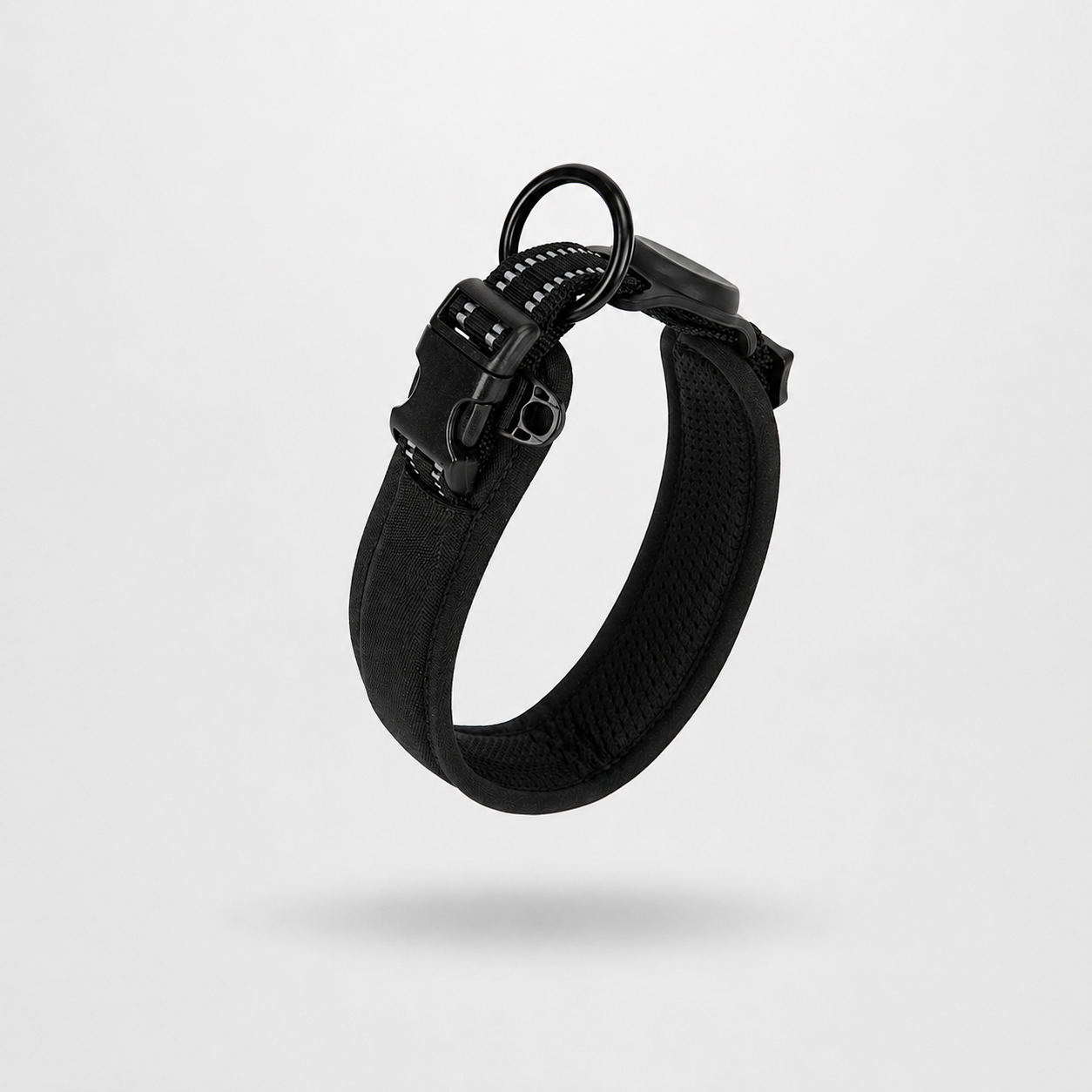 Everyday Comfort Padded Dog Collar