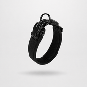 Everyday Comfort Padded Dog Collar