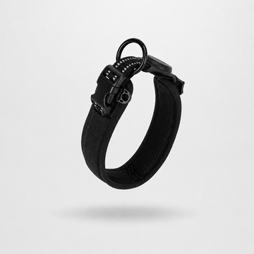 Everyday Comfort Padded Dog Collar