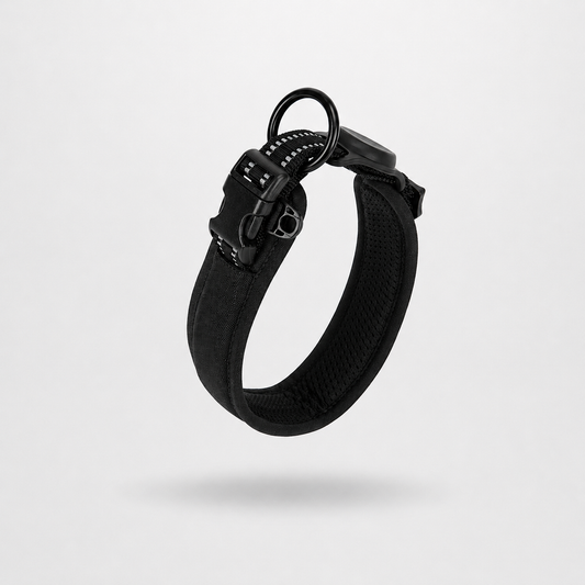 Everyday Comfort Padded Dog Collar