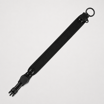 Everyday Comfort Padded Dog Collar
