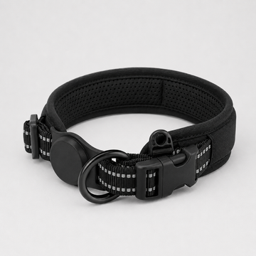 Everyday Comfort Padded Dog Collar