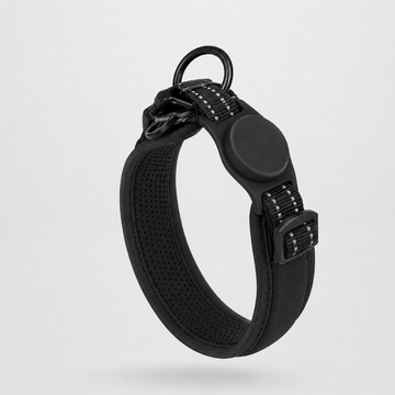 Everyday Comfort Padded Dog Collar